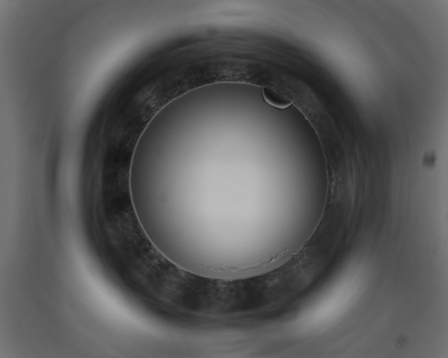 X0000093390383200710111520