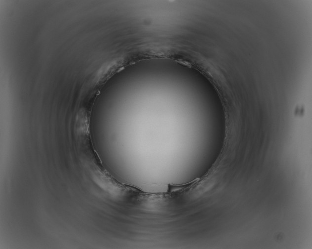 X0000093390384200710111520