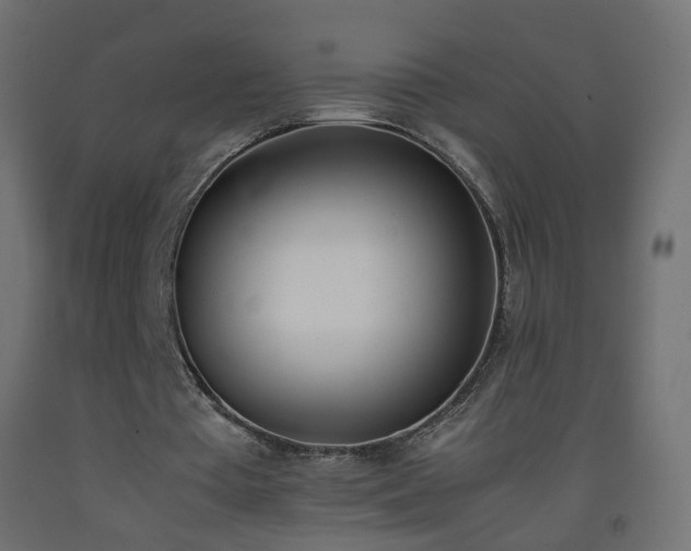 X0000093390385200710111519