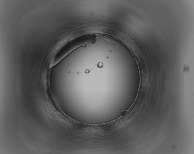 X0000093390386200710111519