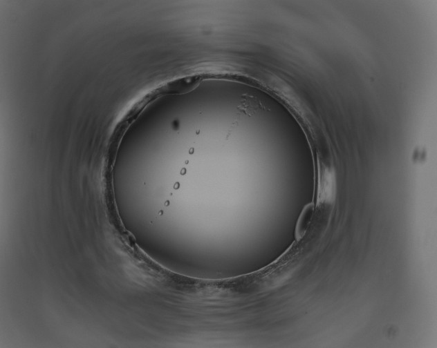 X0000093390387200710111519