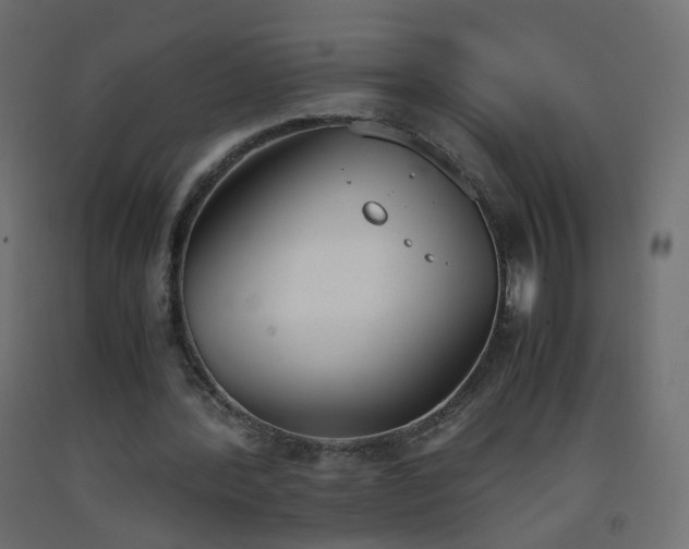 X0000093390388200710111519