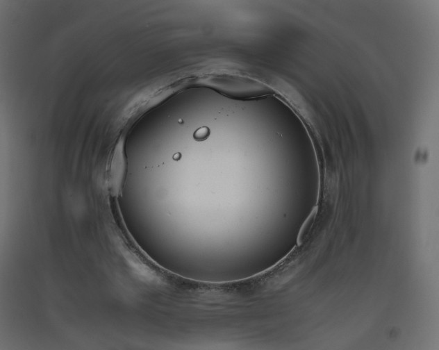 X0000093390389200710111519