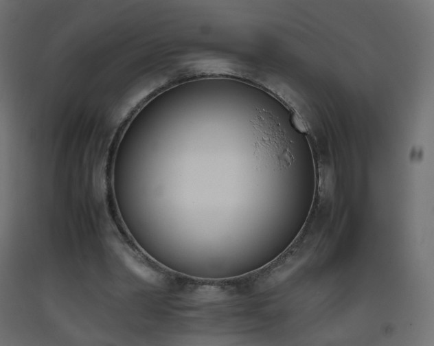 X0000093390390200710111519