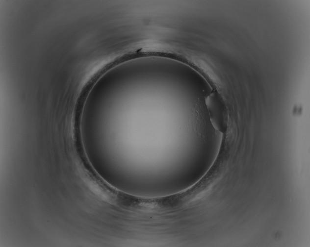 X0000093390391200710111519