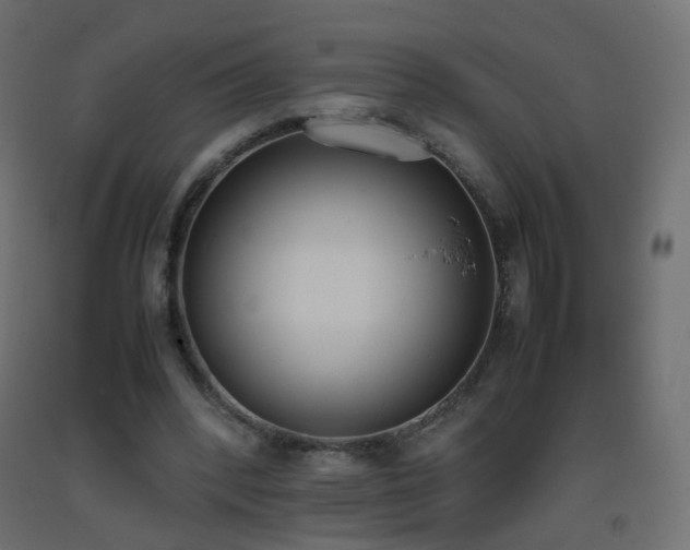 X0000093390392200710111519