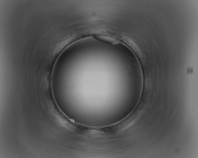 X0000093390393200710111519