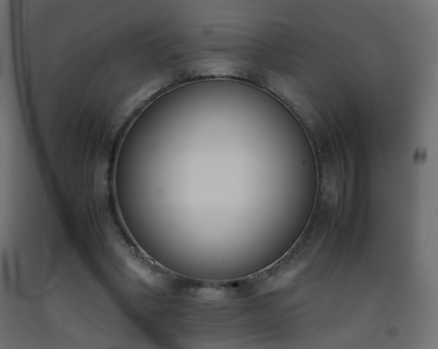 X0000093390394200710111519