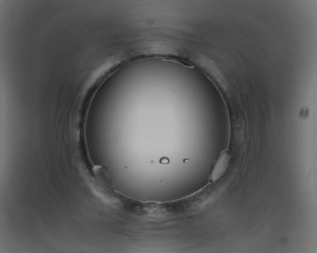 X0000093390395200710111519