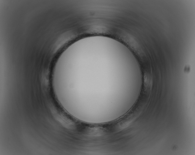 X0000093390396200710111519