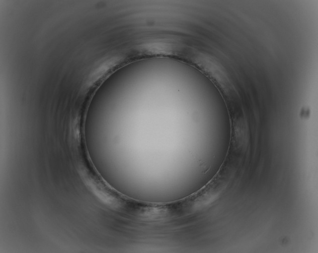 X0000093390398200710111519