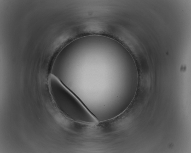 X0000093390399200710111519