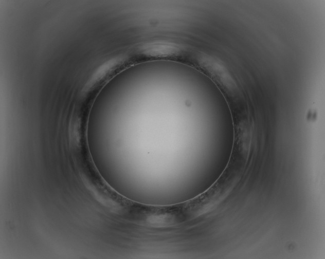 X0000093390400200710111519