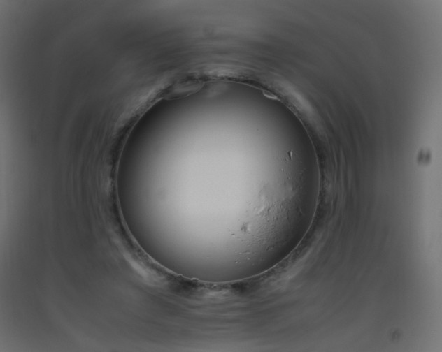 X0000093390401200710111519