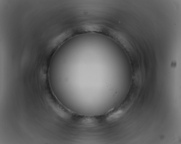 X0000093390402200710111519