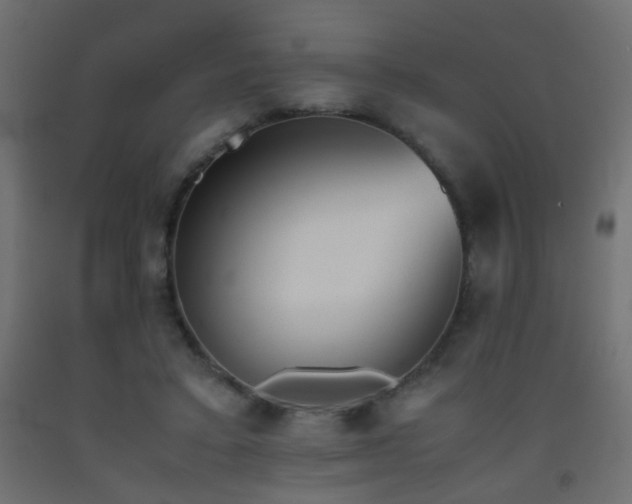 X0000093390403200710111519