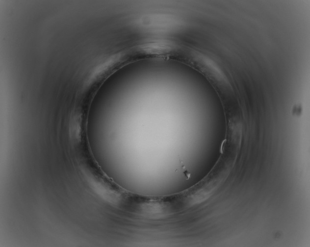 X0000093390404200710111519