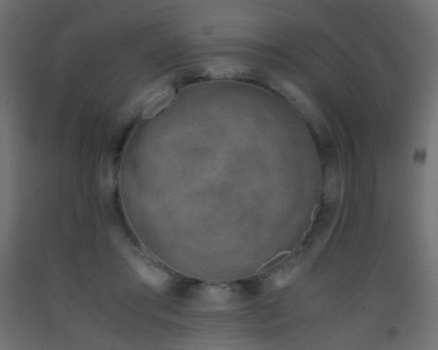 X0000093390405200710111519