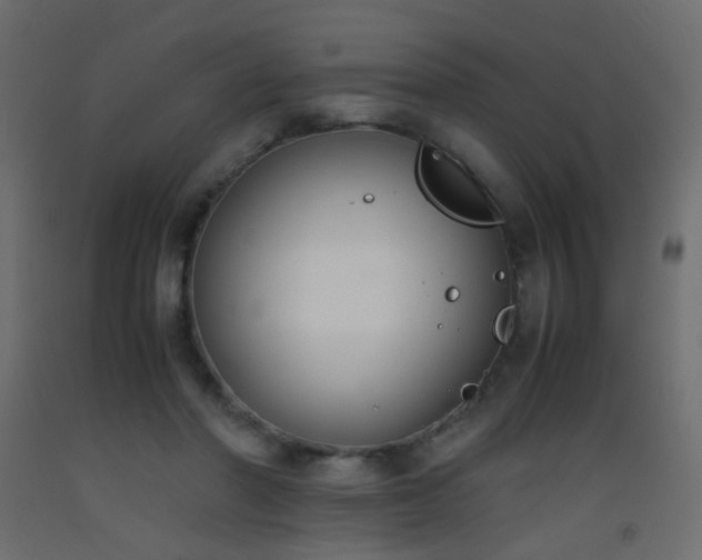 X0000093390406200710111519