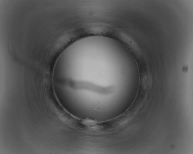 X0000093390407200710111519