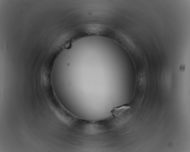 X0000093390408200710111519