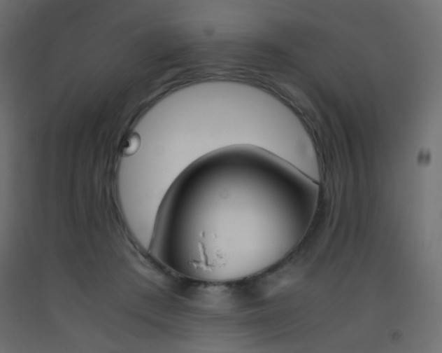 X0000093390409200710111519