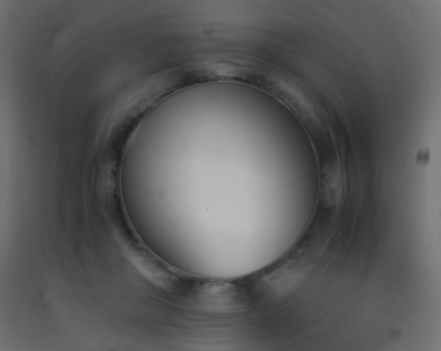 X0000093390410200710111519