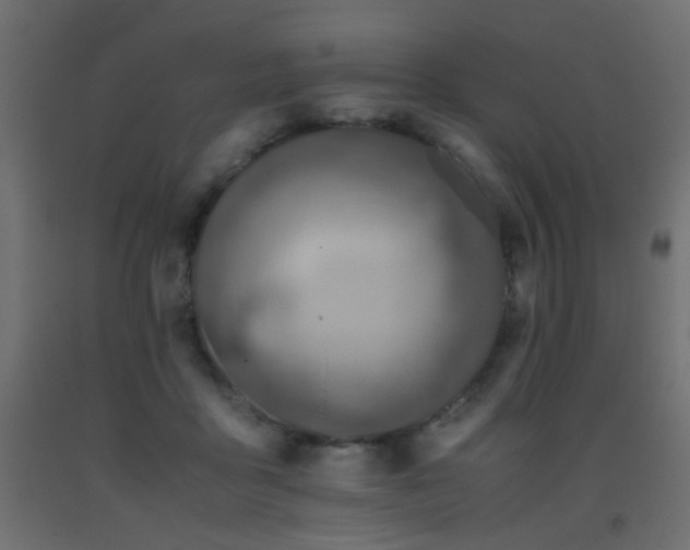 X0000093390411200710111519