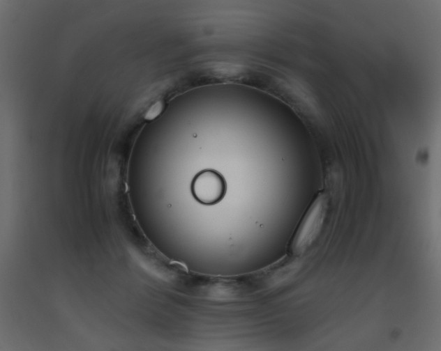 X0000093390412200710111519