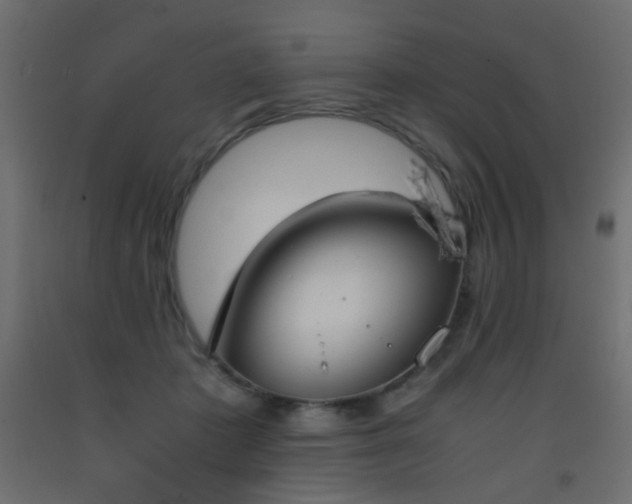 X0000093390413200710111519