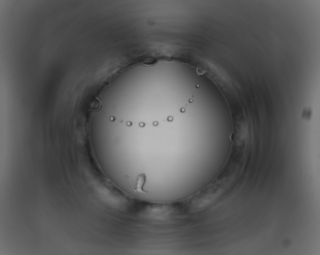 X0000093390414200710111519