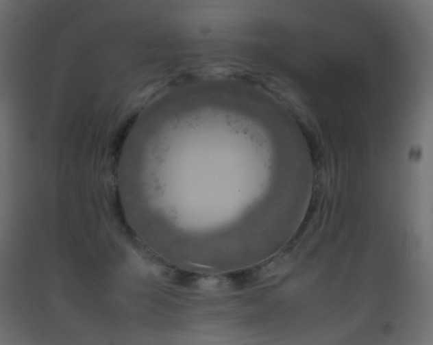 X0000093390415200710111519