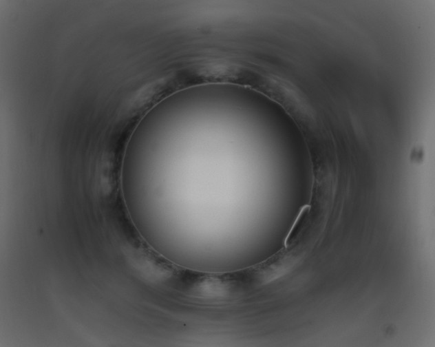 X0000093390416200710111519