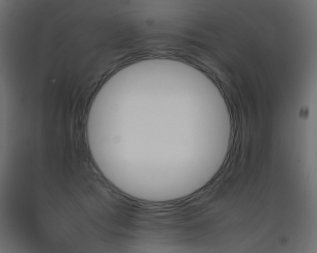 X0000093390417200710111519