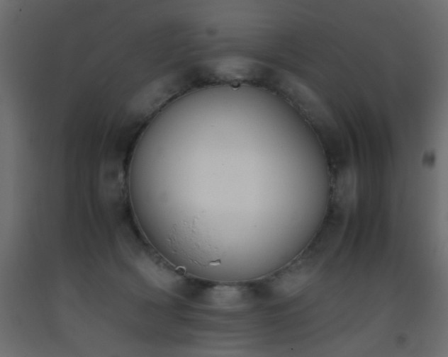 X0000093390418200710111519