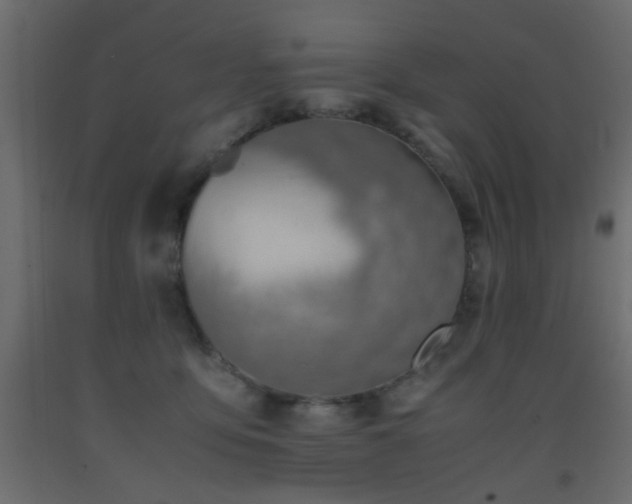 X0000093390419200710111519