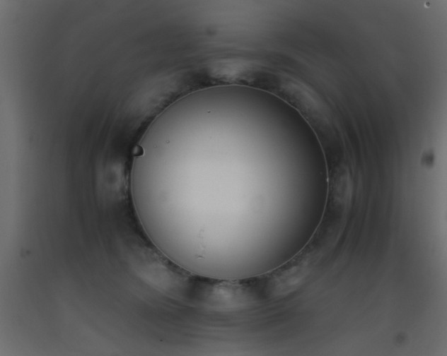 X0000093390420200710111519