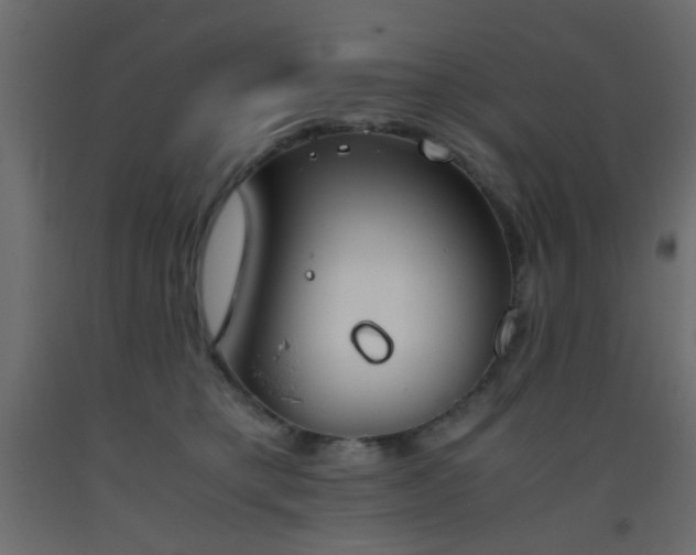 X0000093390421200710111519