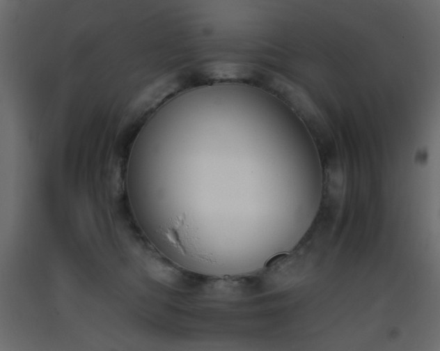 X0000093390422200710111519