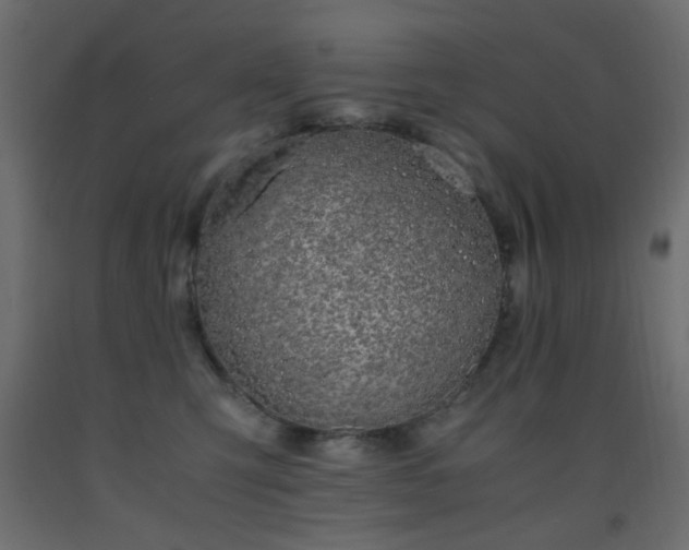 X0000093390423200710111519