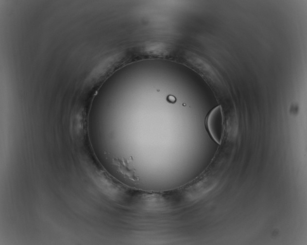 X0000093390424200710111519