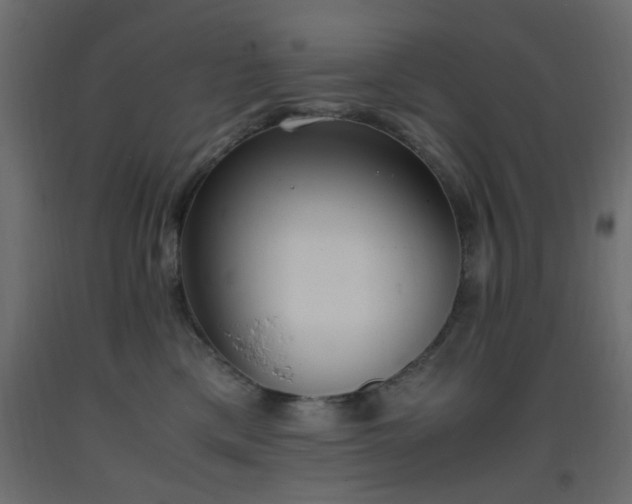 X0000093390425200710111519