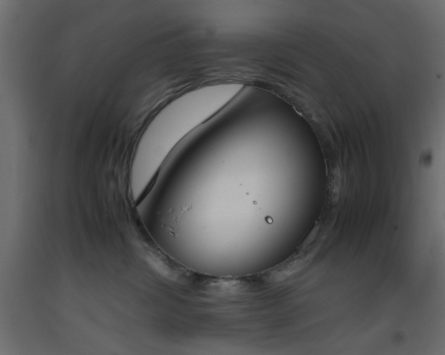 X0000093390428200710111519