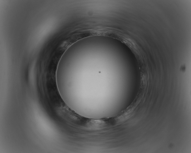 X0000093390429200710111519