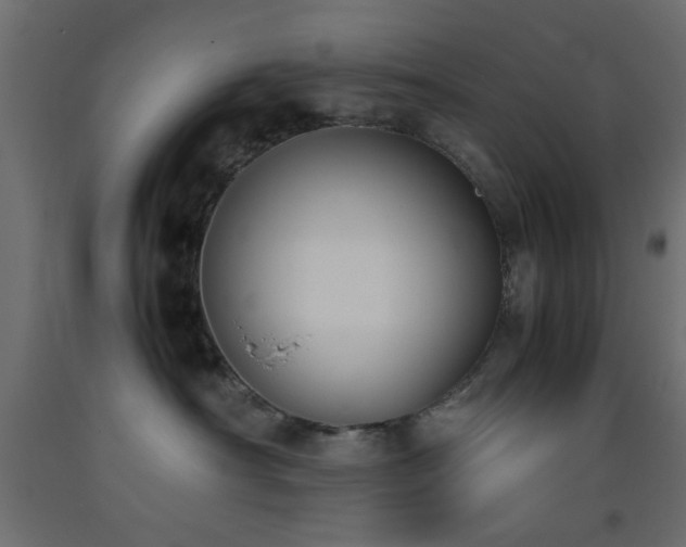 X0000093390430200710111519