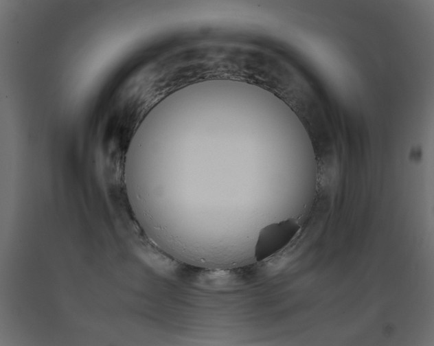 X0000093390431200710111519