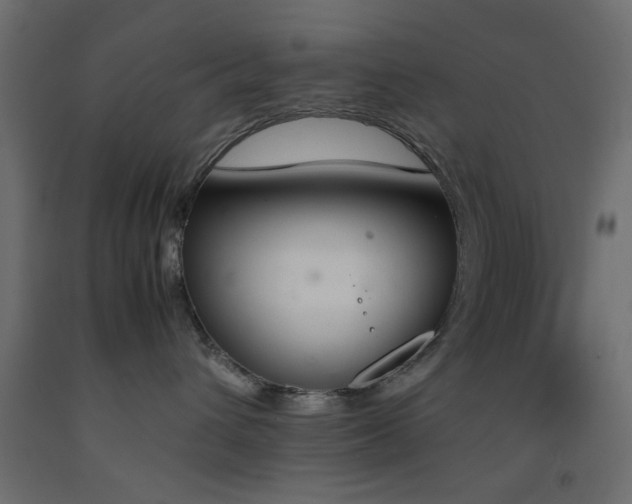 X0000093390432200710111519