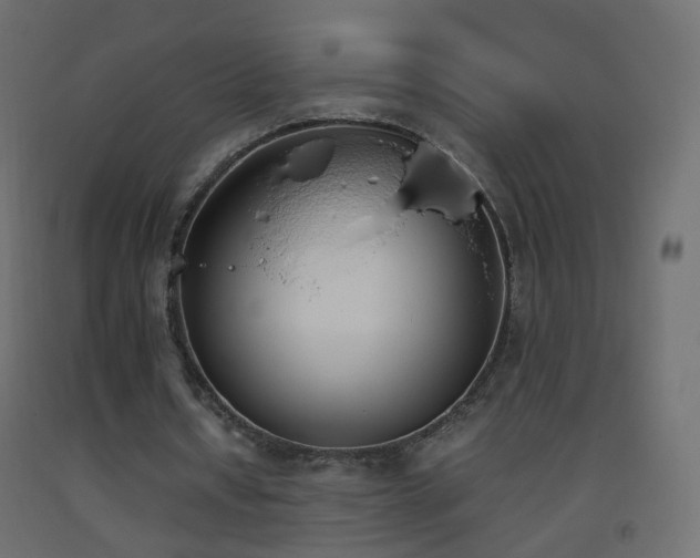 X0000093390434200710111518