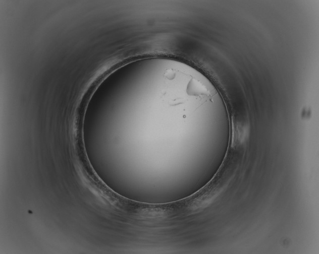 X0000093390435200710111518