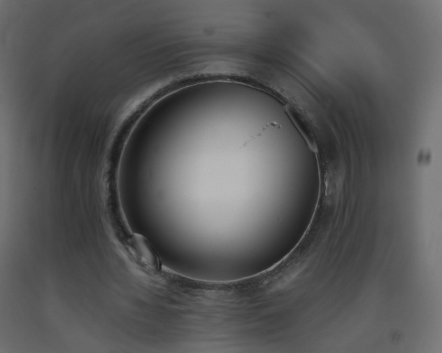 X0000093390436200710111518